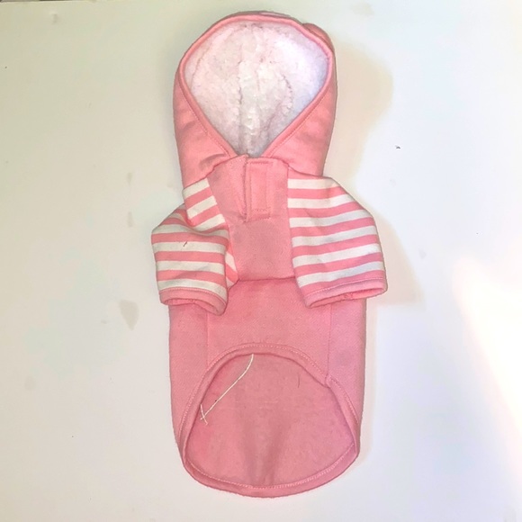 Ellen Degenerrs Dog Apparel Love Jacket